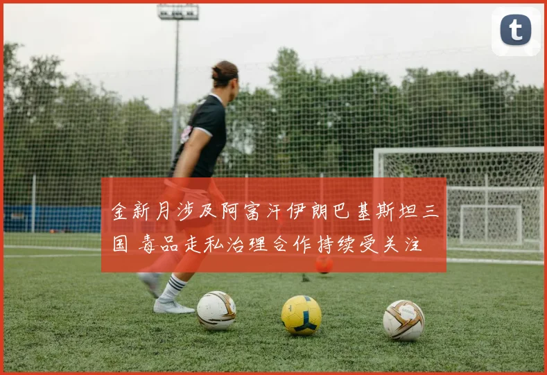 金新月涉及阿富汗伊朗巴基斯坦三国 毒品走私治理合作持续受关注