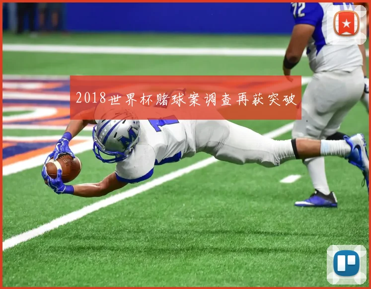 2018世界杯赌球案调查再获突破