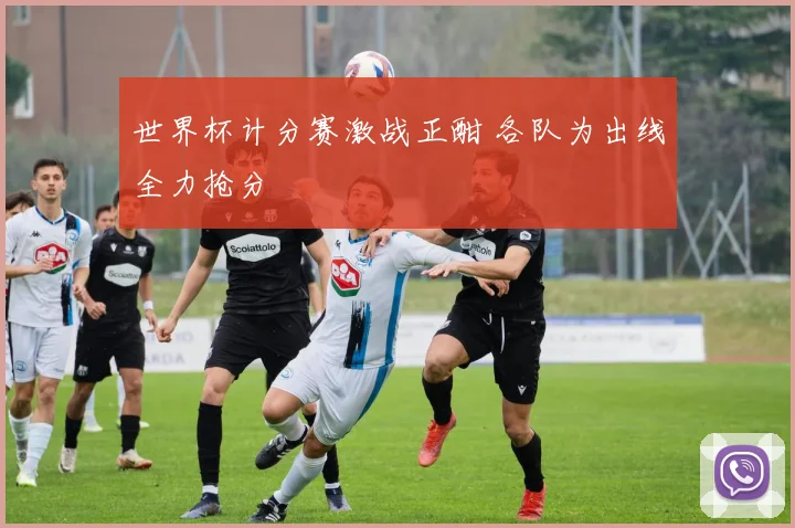 世界杯计分赛激战正酣 各队为出线全力抢分