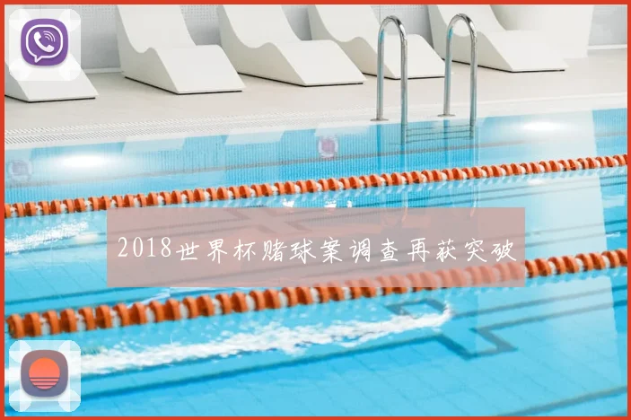 2018世界杯赌球案调查再获突破