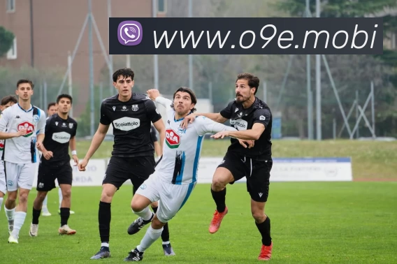 开云网页版·官方版在线登入 - 开云(中国)APP 体育赛事宣传图